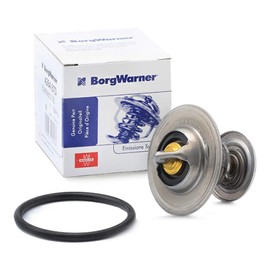 Wahler 4264.87D Thermostat, Coolant