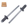 SKIR'CO (Pack of 100 pcs) Painted Blind Rivets 4.0 x