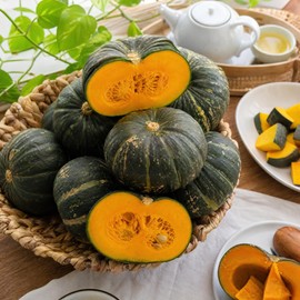 Jeju Mini Chestnut Pumpkin Bowjjang Sweet Pumpkin Fresh Season / 제주 미니밤호박 보우짱 단호박 신선제철