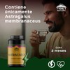 TIBET NATURA - Astragalus 60 Cápsulas 500 mg c/u -