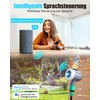 RAINPOINT Irrigation Computer WiFi Automatic Irrigation System with Brass Inlet