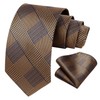 Hisdern Tie for Men, Wedding Tie with Pocket, Square, Classic,