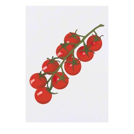 'Vine Tomatoes' Temporary Tattoo - Water Resistant, Skin-Safe, Non-Toxic Transfer (TO00085219)