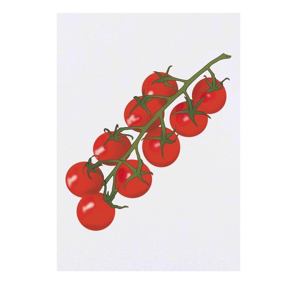 'Vine Tomatoes' Temporary Tattoo - Water Resistant, Skin-Safe, Non-Toxic Transfer