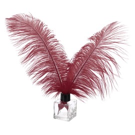 PATIKIL Pack of 30 Natural Ostrich Feathers Wholesale 12-14 Inches / 30-35 cm Large Ostrich Feathers for Crafts, Home Decoration, Wedding Party, Vase Decor (Burgundy)