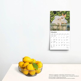Honey Bunny | 2025 7 x 14 Inch Monthly Mini Wall Calendar | Plastic-Free | BrownTrout | Domestic Small Cute Animals