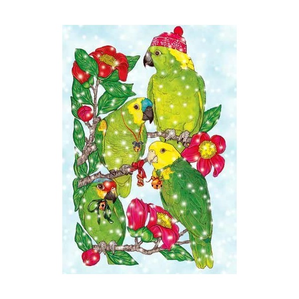 Pipsqueak Parrot Christmas Cards : 10 Holiday Cards with Red Envelopes - ADORABLE!