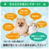 Cat Lactic Acid Bacteria Supplement, For Dogs, For Cats, Platinum