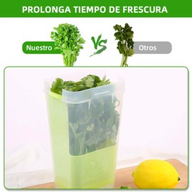 Conservador de Hierbas Frescas, Recipientes para Refrigerador con Colador Extraíble y Particiones,Gran Capacidad, Hermético, Extiende Frescura Hasta 3 Semanas, Apto para Vegetales y Frutas. (Verde)