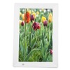 10 Inch Digital Photo Frame 1024x800 Human Body Induction MP3