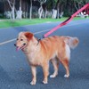 MOE Dog Leash Large Dog Medium Dog Leash 2 Handles