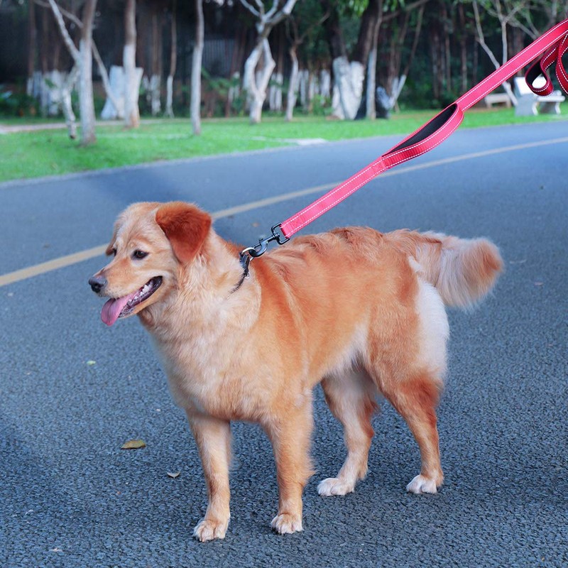 MOE Dog Leash Large Dog Medium Dog Leash 2 Handles