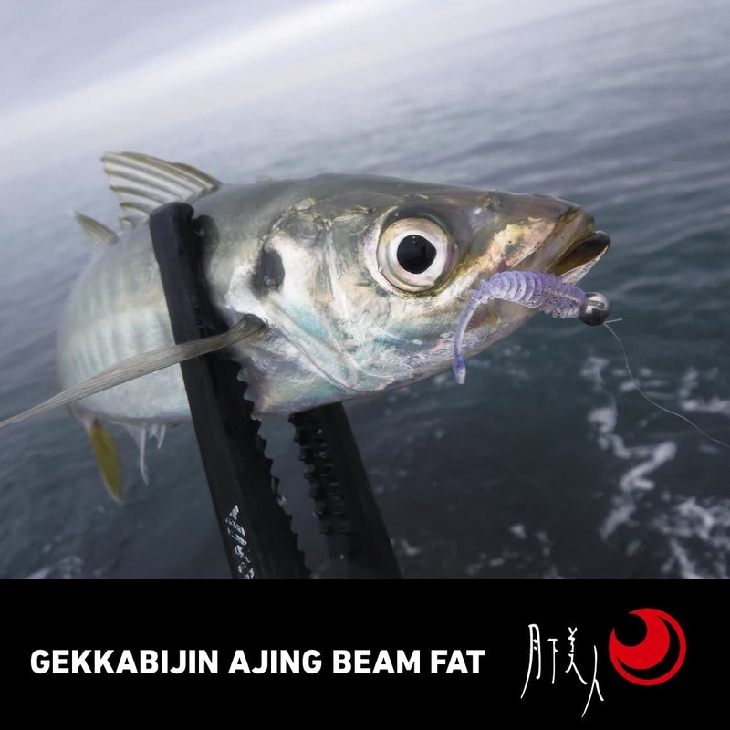 DAIWA Tsukizumi Bijin Ajing Beam FAT 1.5 Inch Chirashi Sushi