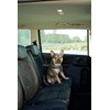Car Safety Harness, Black, L 65-85 cm/25 mm