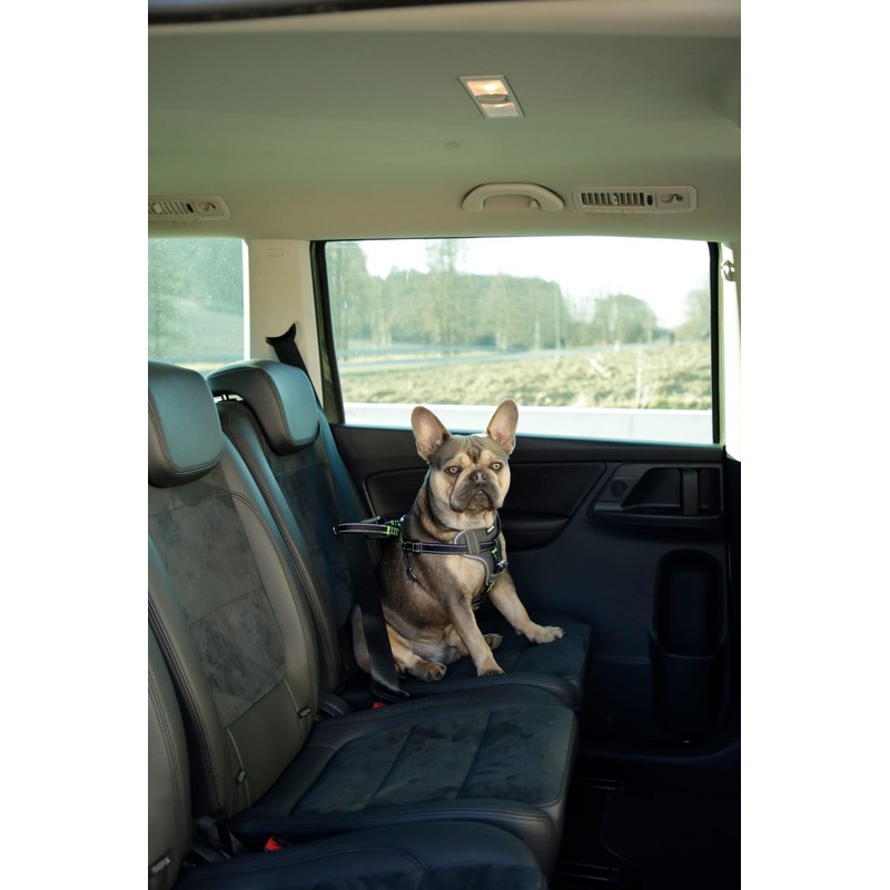 Car Safety Harness, Black, L 65-85 cm/25 mm
