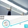 LUXRITE F32T8/865 32W 48 Inch T8 Fluorescent Tube Light Bulb,