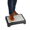 Mind Reader Platform Booster Step, Step Stool for Seniors, Indoor