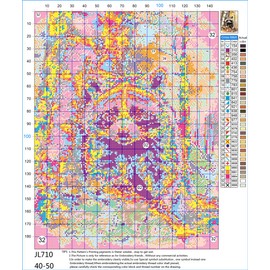 Abillyn Raccoon Stamped Pattern Embroidery Cross Stitch Kit Starter Kit (Raccoon)