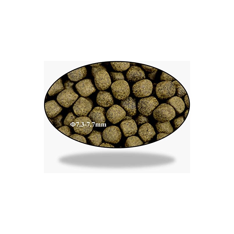 Aqua Master 10Kg Koi Staple Fish Food Large Pellet, 22-Pound