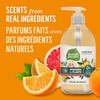 Seventh Generation Hand Wash, Fresh Citrus, 12 Ounce