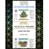 Ganesha Herbs Suramax and Pine Needle Complex Formula Tincture High