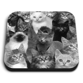 1 x Square MDF Fridge Magnet - Cute Cat Collage Kitten Cats 41628