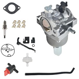 Carburetor Fit For Briggs & Stratton 287707, 287776, 287777, 310707, 310777, 311707, 311777 Carb