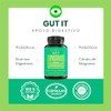 Gut Probiotic Suplemento Natural Probióticos Prebióticos Enzimas Digestivas Citrato Magnesio