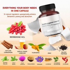 Berberine Cinnamon Apple Cider Vinegar Turmeric - Overall Wellness Support