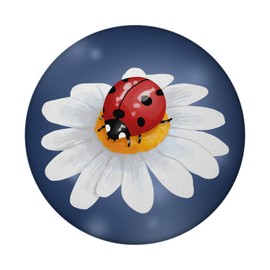 Ladybird Lucky Charm Magnet Round for Pinning Important Notes and Dear Messages to Friends and Partners