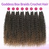 Goddess Box Braids Crochet Hair 24 Inch Crochet Hair for