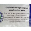 1 lb Falcons Tall Turf Fescue-A Three Falcon Blend Best