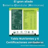 Alga Spirulina Máxima 500tab Kosher 250g + Gotitas Spirulina