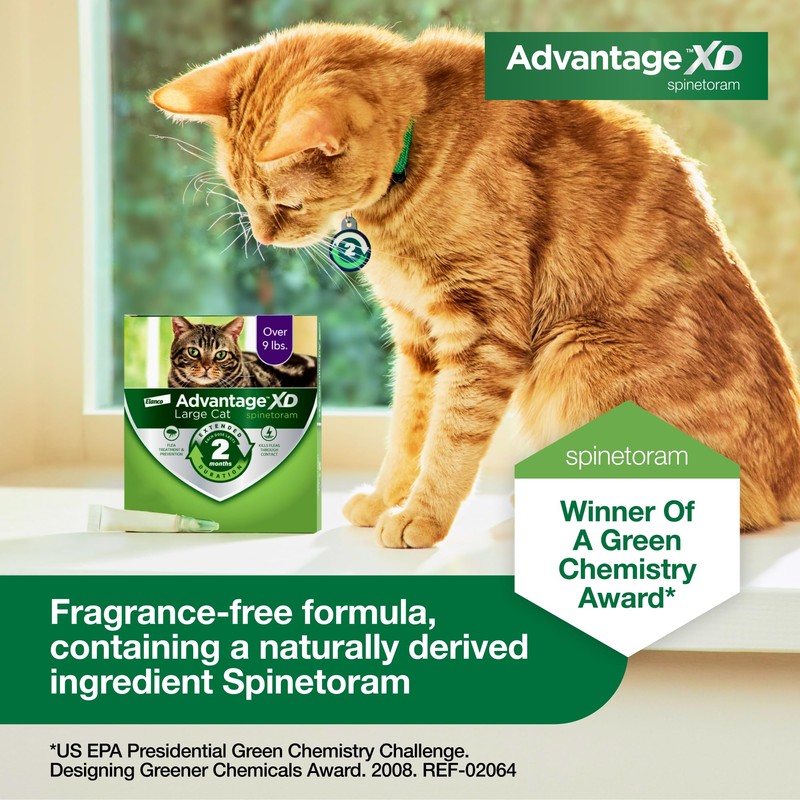 Advantage XD Large Cat Flea Prevention & Treatment For Cats