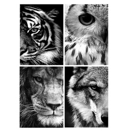 Diamond Painting Pack of 4 Eye 30 x 40 cm Diamond Painting Pictures Tiger Diamond Painting Adult Tiger Diamond Painting Wolf Painting by Numbers Lion Diamond Painting Lion Diamond Painting Owl