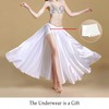 Women Chiffon Belly Dance Long Skirt with Underwear Split Satin