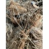 Natural Coconut Husk Fibres, Raw Coir Material, Brown