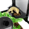 REPTI ZOO Magnetic Gecko Feeding Ledge, Acrylic Aboreal Feeding Ledge