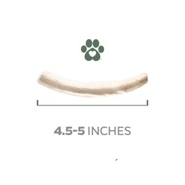 Gnawtlers - Premium Deer Antlers for Dogs, Naturally Shed Deer Antlers, All Natural Deer Antler Dog Chew, Specially Selected from The Heartland Regions (Medium)