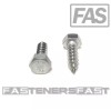 FAS (10) 5/16 x 1" 316 Stainless Steel Hex Head