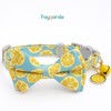 Faygarsle 2 Pack Cute Cat Collar with Bell Breakaway Bowtie