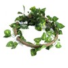Reptile Climbing Branch Flexible Jungle 3.28ft Rattan 1Pc Vine(3.28ft Rattan+Scindapsus