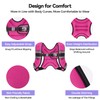 Zeerun 12LBS Weighted Vest for Women & Men with Reflective
