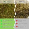 Halatool 2.2LB Natural Sphagnum Moss for Reptiles Green Live Moss