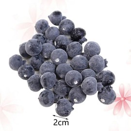 ZhangyiHot 20 Pcs Artificial Blueberries Plastic Fake Blue Berry Plants Realistic Artificial Blueberry Plants for Home Wedding Office Party Kitchen Cabinet Artificial Plants and Flowers