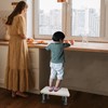 Aliseniors Step Stool for Adults with Non-Skid Platform and Rubber