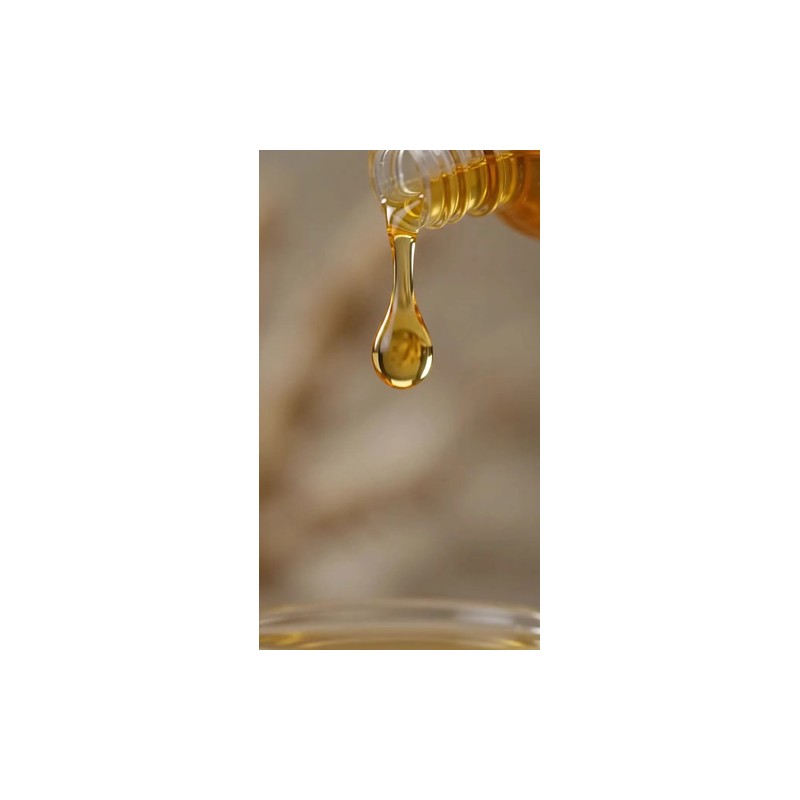 Aceite Omega 3 Para Perro Suplemento Natural De Pescado