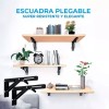 EGTMA Kit De Soportes Para Repisas Blindados De 12 Pulgadas