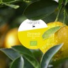 NeoOrganic® Favourite Fragrances Citrus - Organic Aroma Set Essential Oils