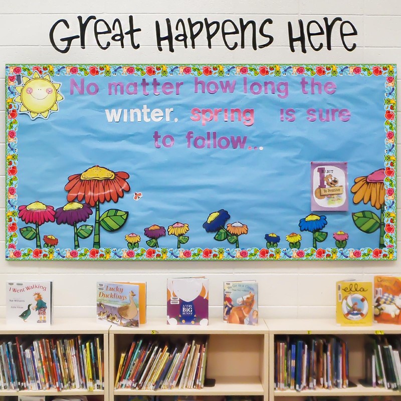 72 Feet Frogs Bulletin Board Borders Flower Insect Butterfly Borders